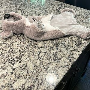 Zack & Zoey Koala Pet Costume .  No size but fits our 24 lb dog excellent.